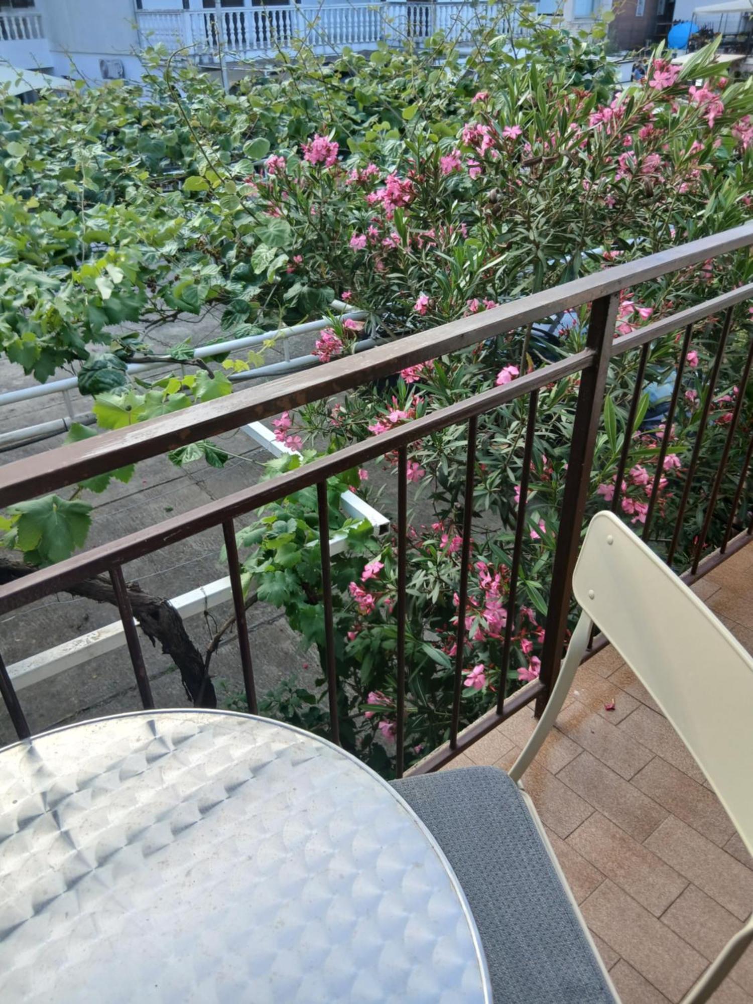 Apartments Budva Center Εξωτερικό φωτογραφία