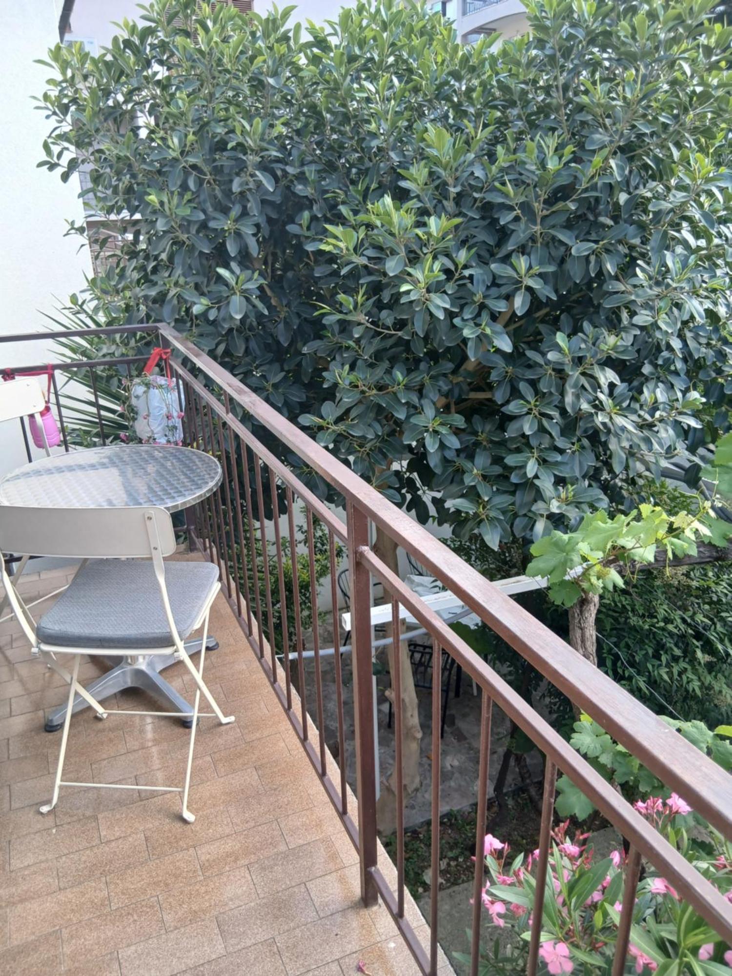 Apartments Budva Center Εξωτερικό φωτογραφία