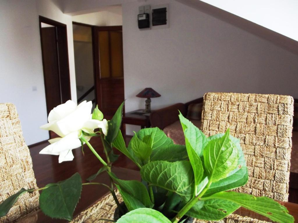 Apartments Budva Center Δωμάτιο φωτογραφία